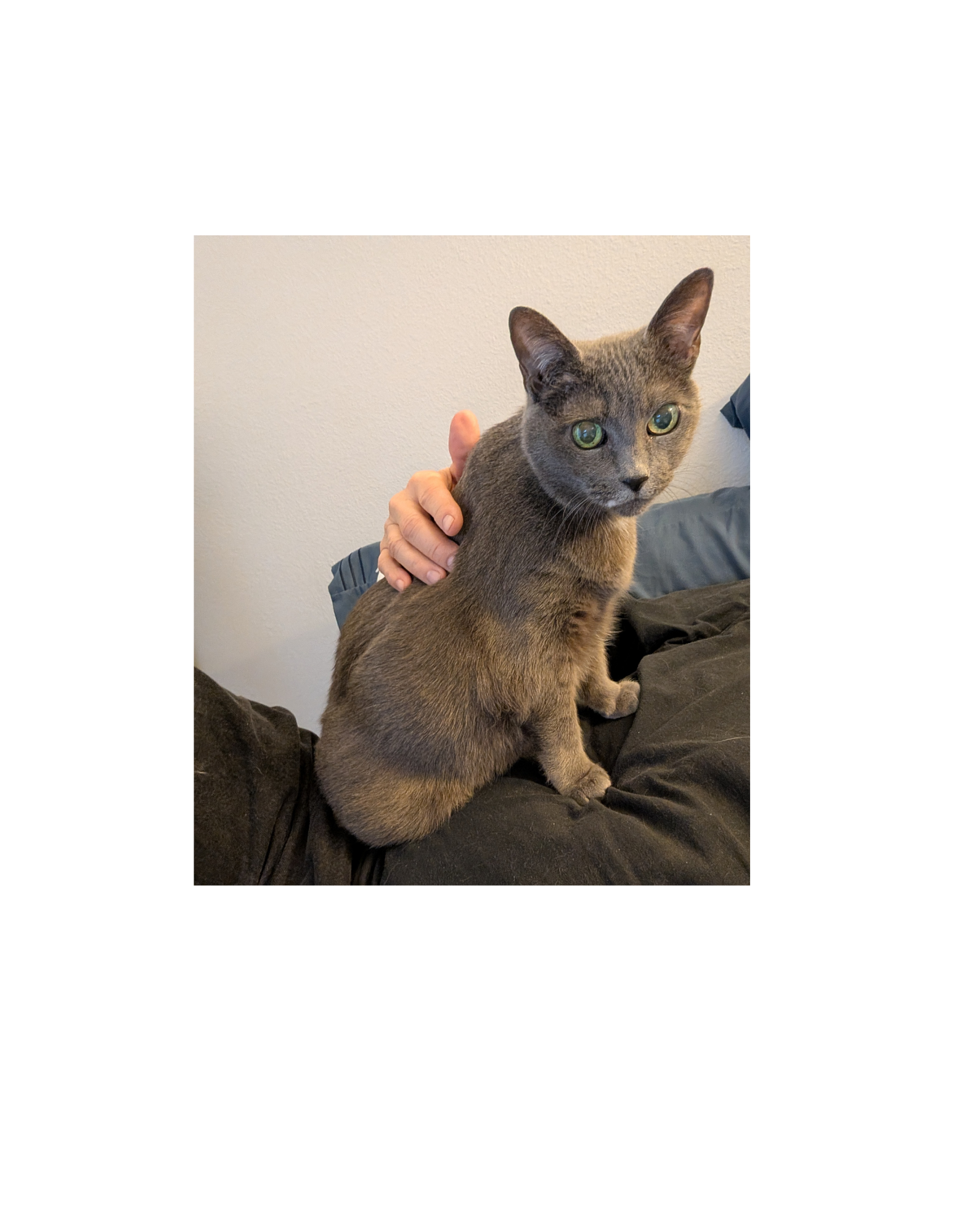 Greg Rowland With His Cat Big Bit