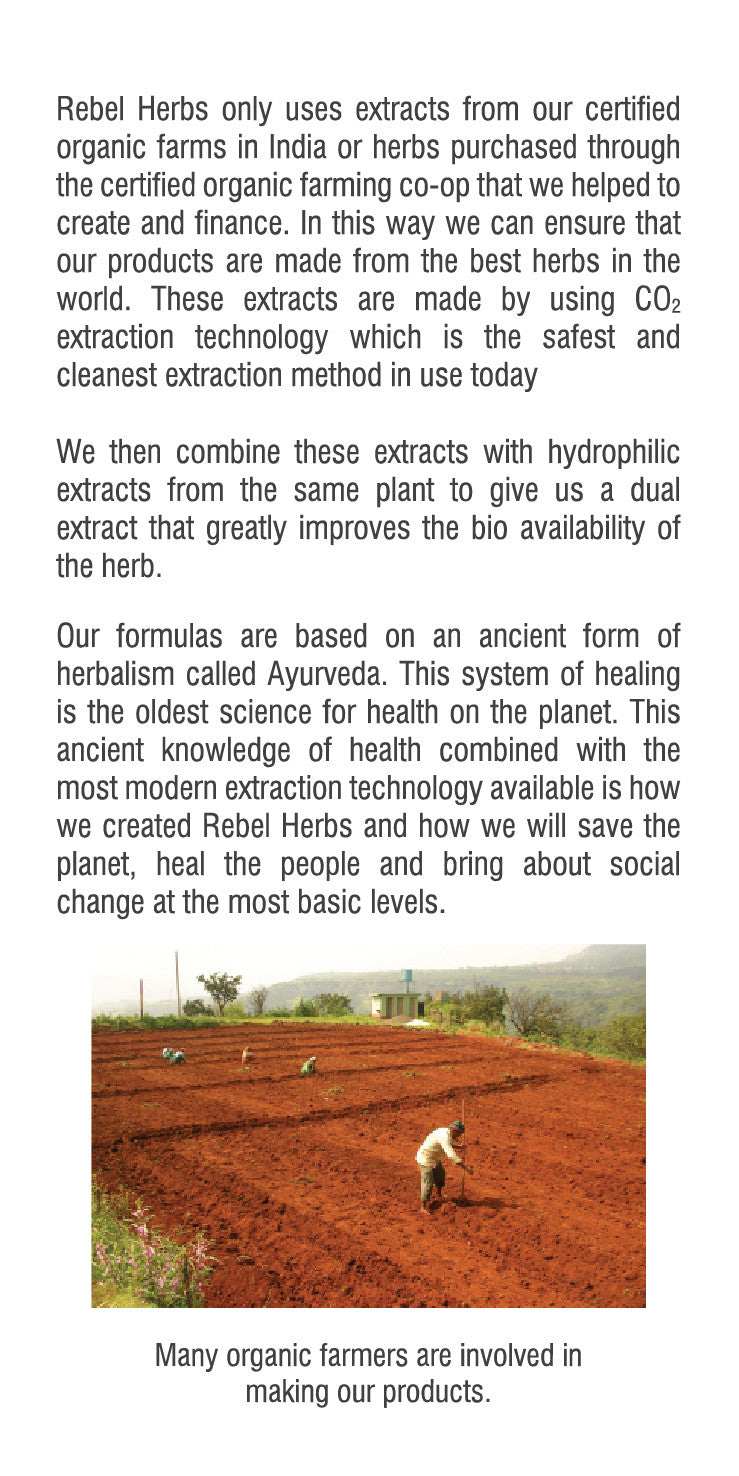 #33 Jointade 60 capsules gallery 1 showing organic herb farming process Support Greg Profits Pay for Alzheimer's Treatments