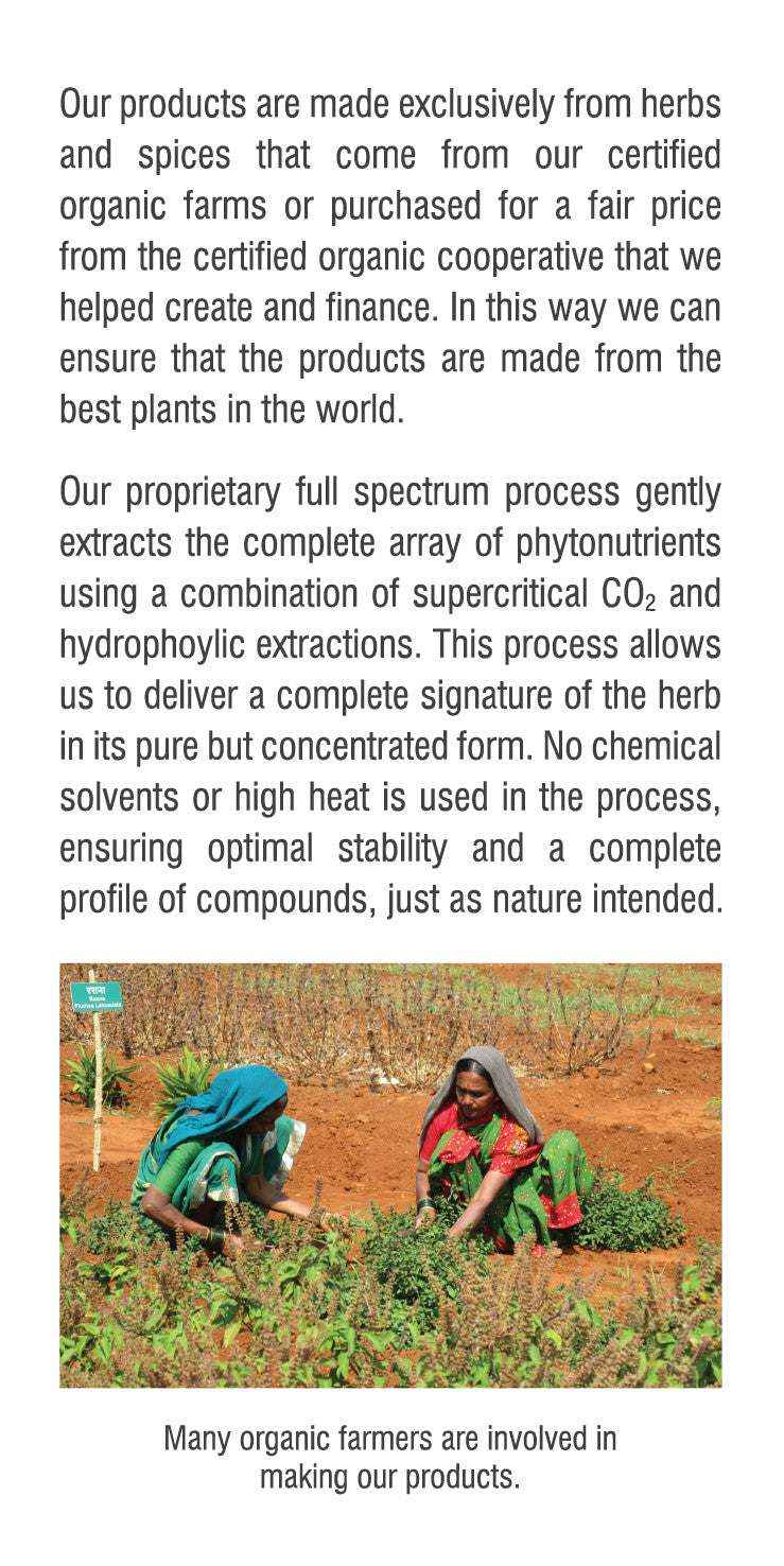 Ginger Health Capsules for Natural Wellness and Vitality - Greg's AZ Store