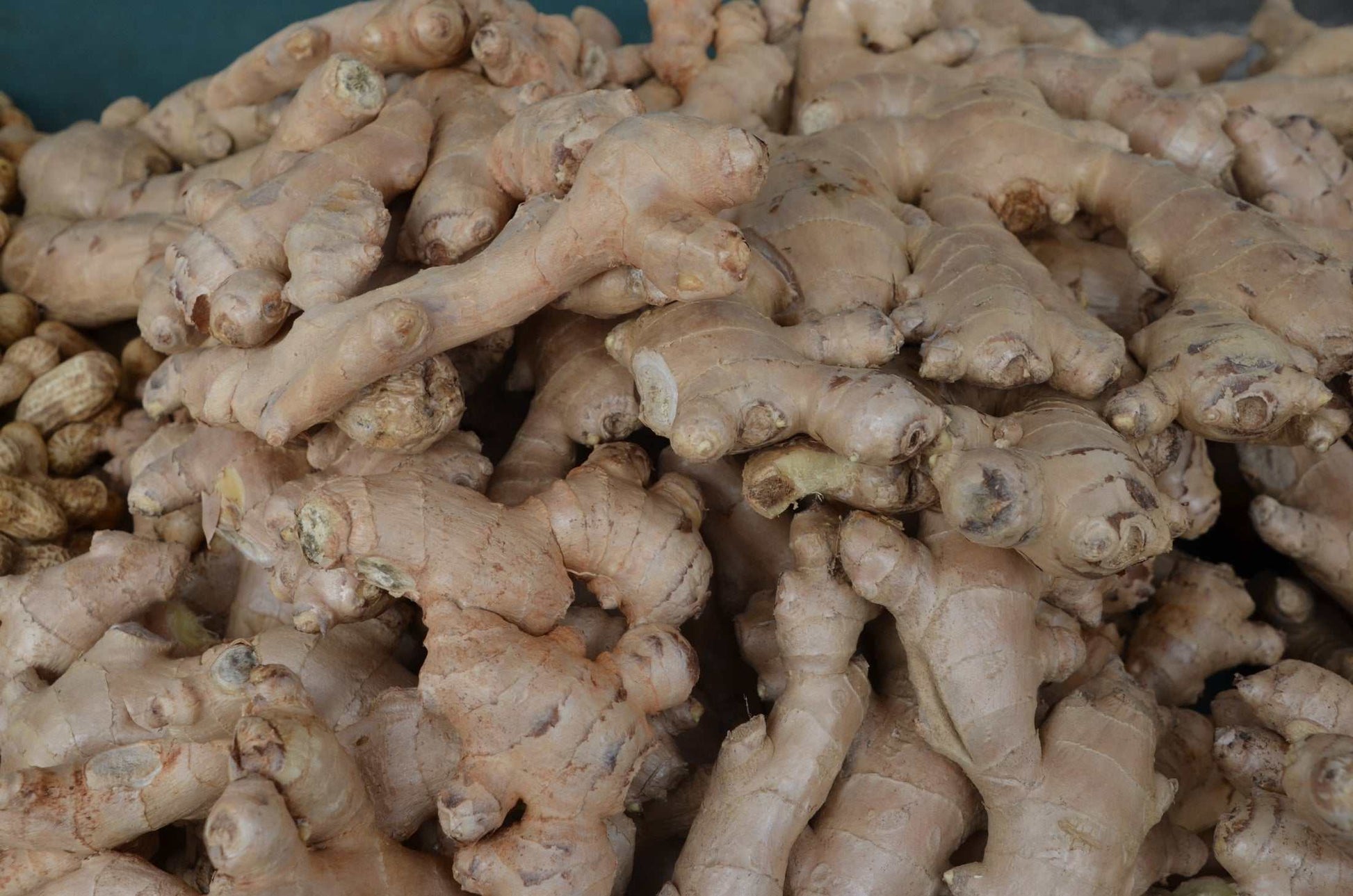 Ginger Health Capsules for Natural Wellness and Vitality - Greg's AZ Store
