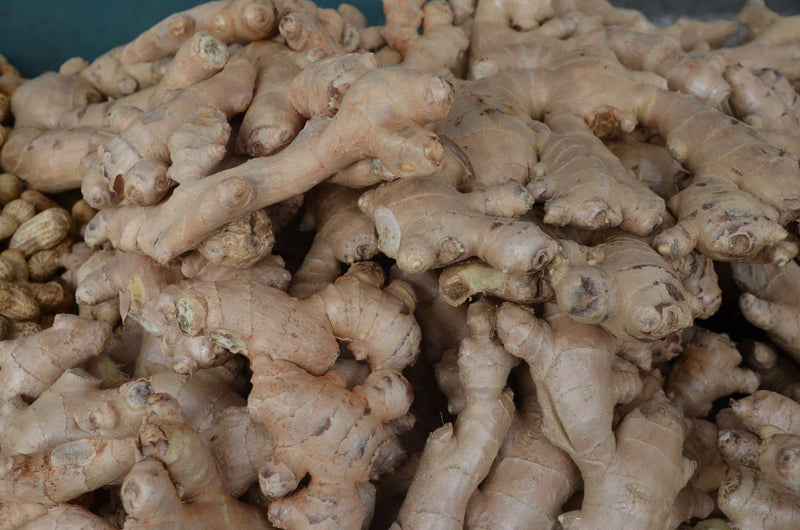 Ginger Health Capsules for Natural Wellness and Vitality - Greg's AZ Store