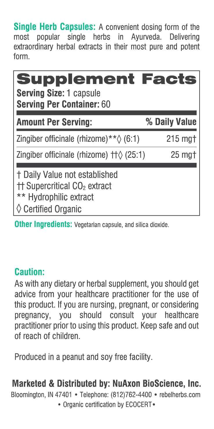 Ginger Health Capsules for Natural Wellness and Vitality - Greg's AZ Store
