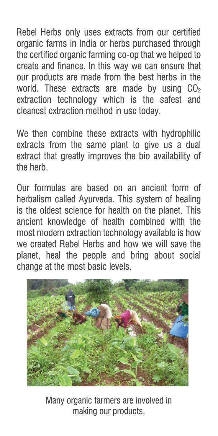 Rebel Herbs Organic Heartade Vegetarian Caps - 60 Count