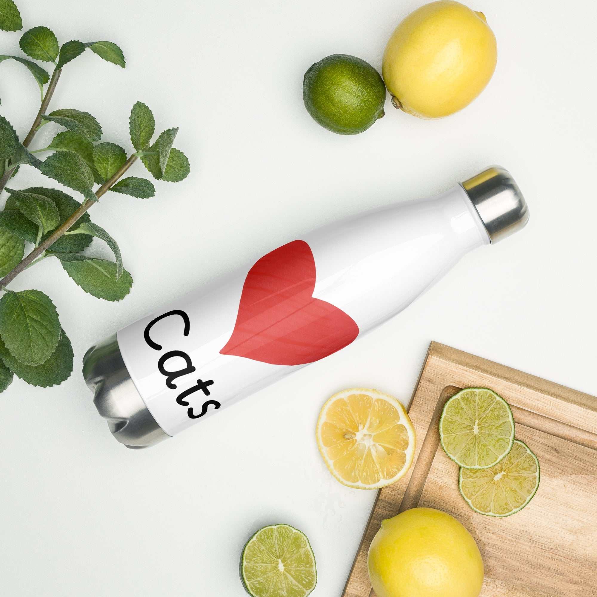 Stainless Steel Water Bottle - Love Cats