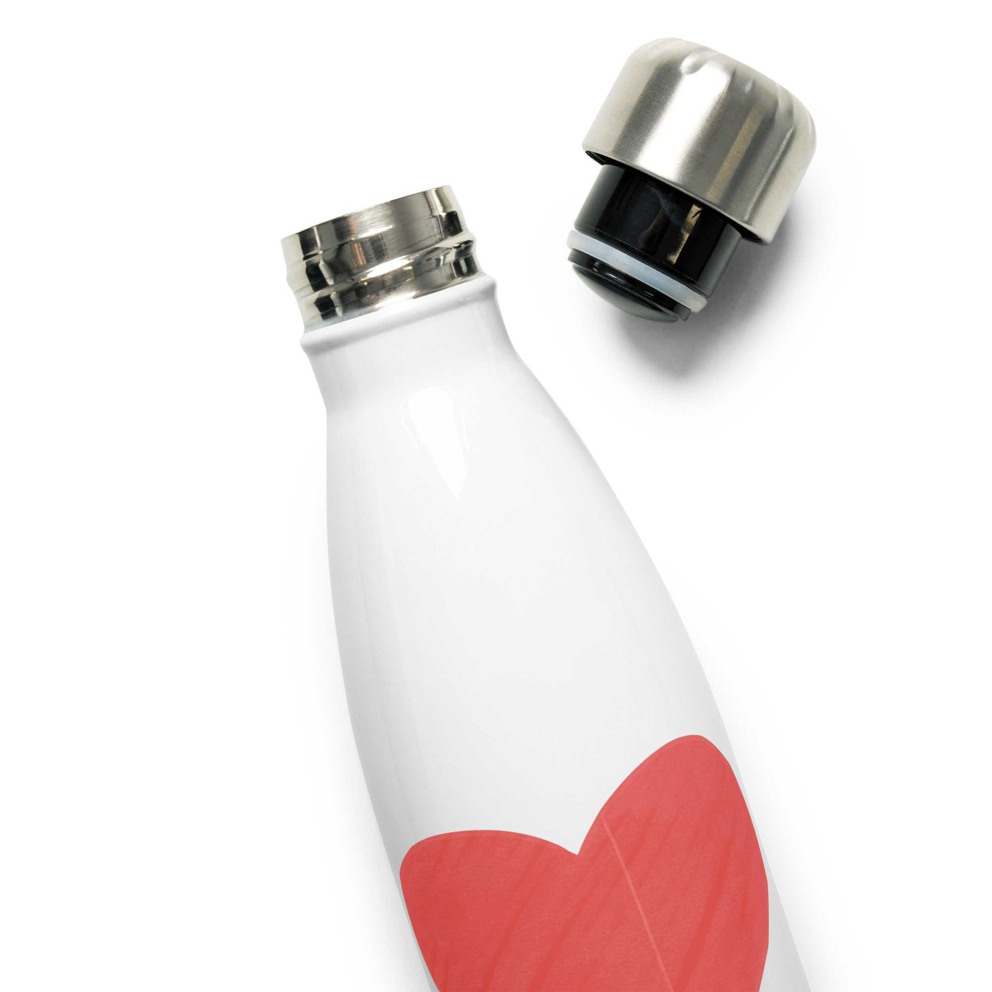 Stainless Steel Water Bottle - Love Cats