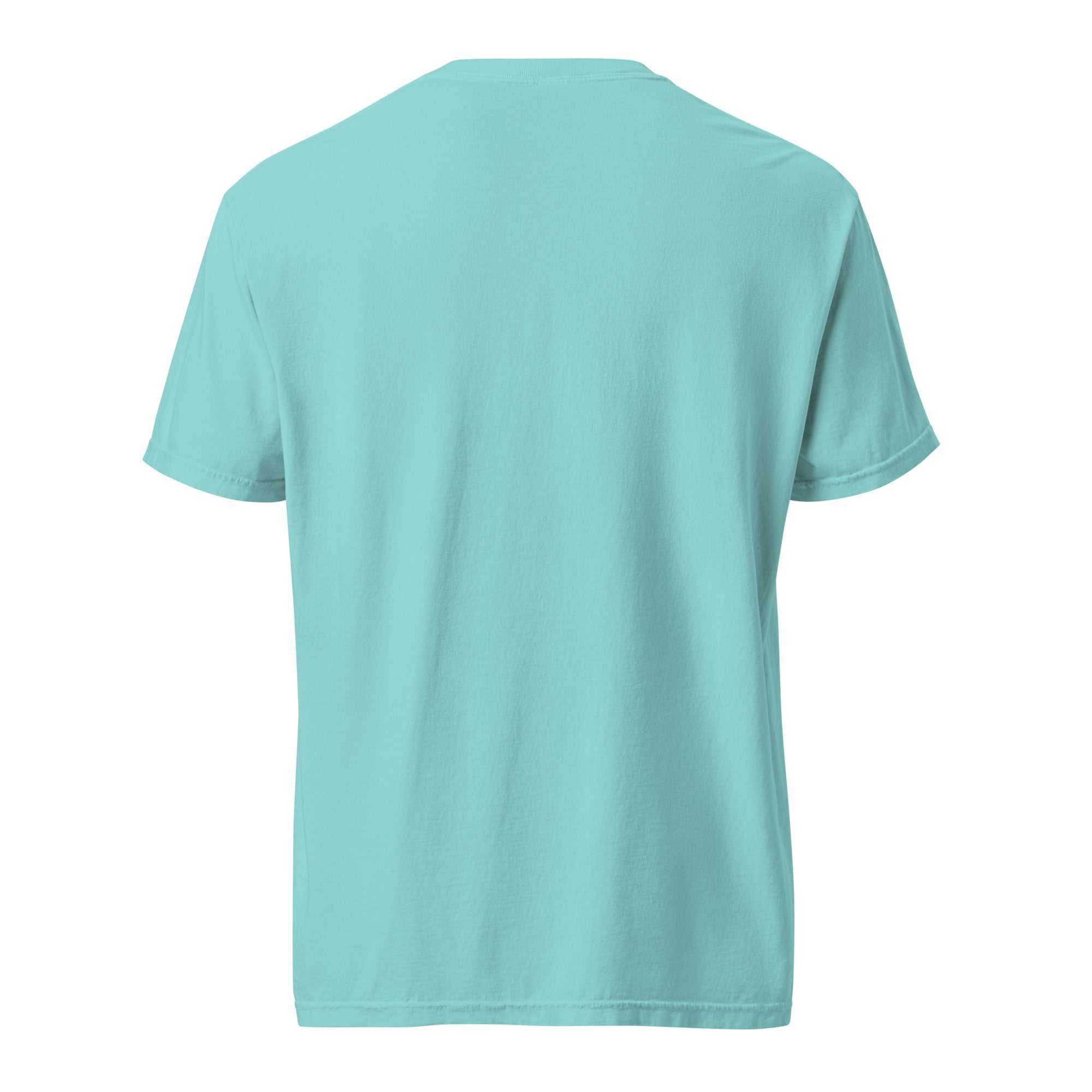 Back view of a plain light blue heavyweight t-shirt