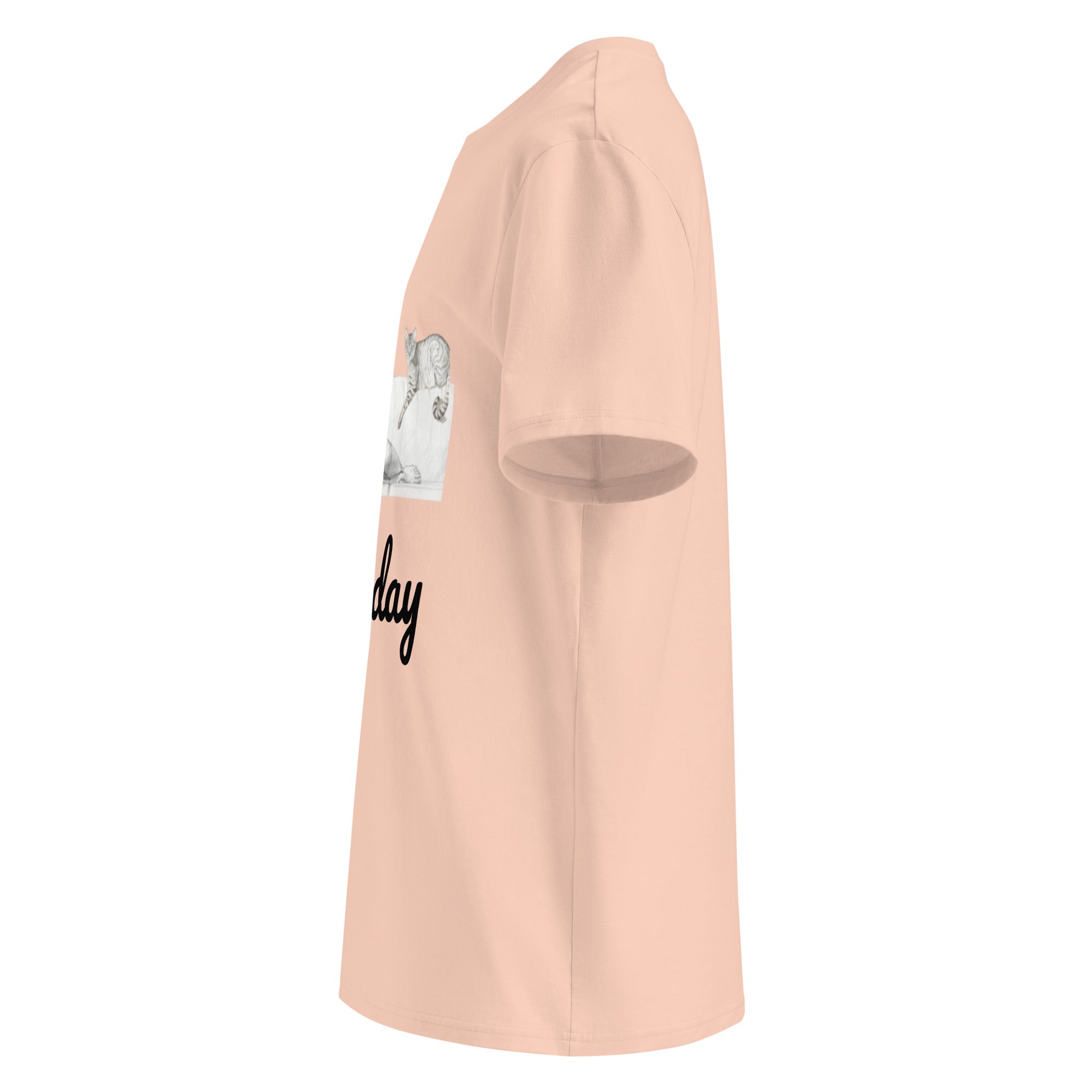 Caturday Women's Stanley/Stella Organic Cotton T-Shirt